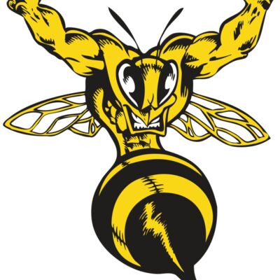 BAW BEE 04 RC Thumbnail