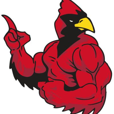 AR CARDINAL 28 RC Thumbnail