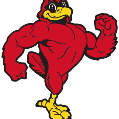 AR CARDINAL 41 RC Thumbnail