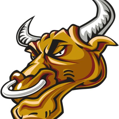 BULL HD0502 RQC Thumbnail