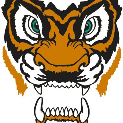 AR TIGER 11 RC Thumbnail