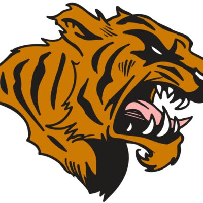 AR5 TIGER 08 RQC Thumbnail