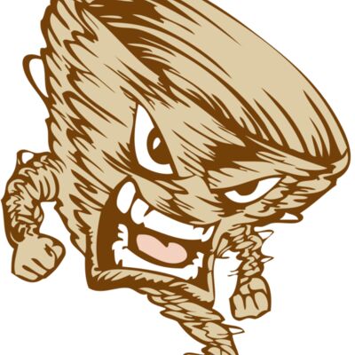 BAW STORM 10 RC Thumbnail